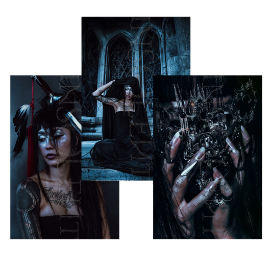 Insolent Poster (Bundle)