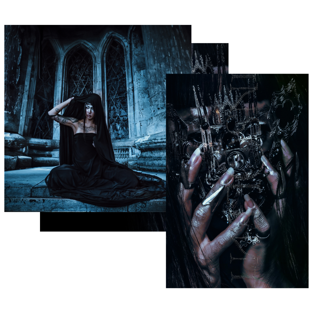 Insolent Signature Album Bundle