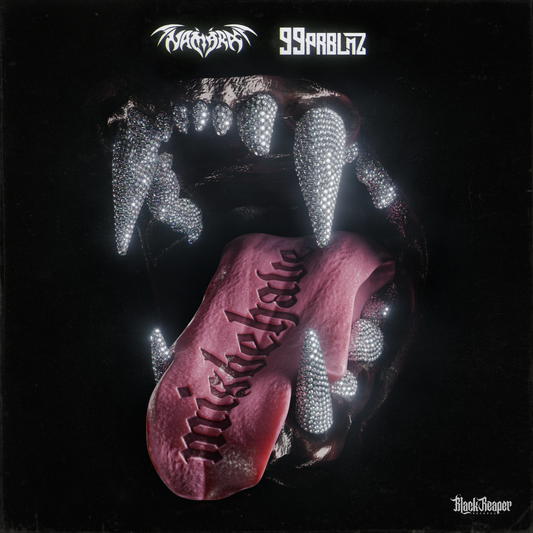 Namara & 99PRBLMZ - Misbehave