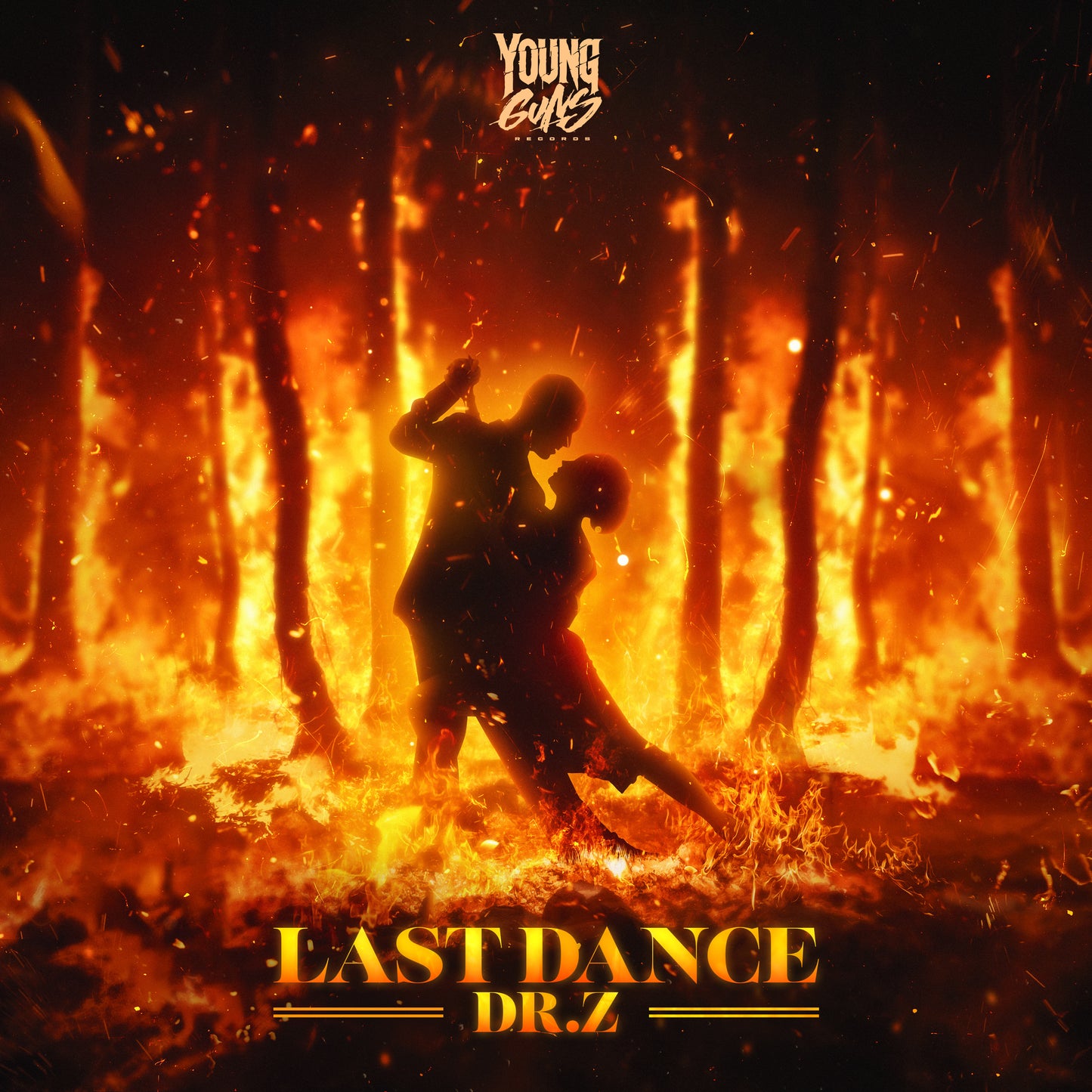 Dr.Z - Last Dance
