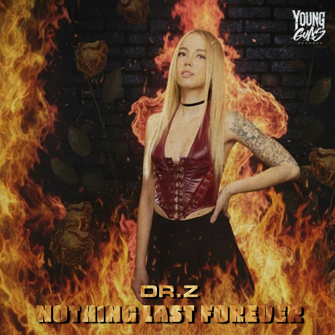 Dr.Z - Nothing Last Forever